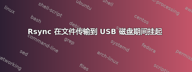 Rsync 在文件传输到 USB 磁盘期间挂起