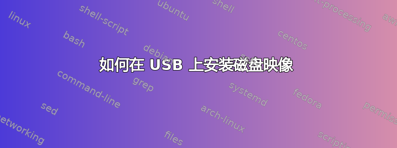 如何在 USB 上安装磁盘映像