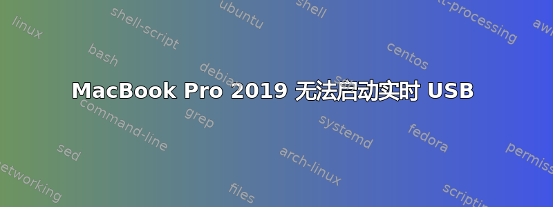 MacBook Pro 2019 无法启动实时 USB