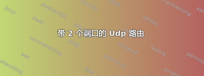 带 2 个端口的 Udp 路由