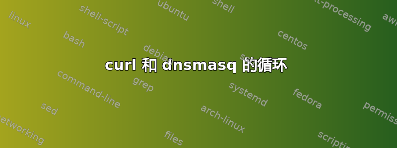 curl 和 dnsmasq 的循环