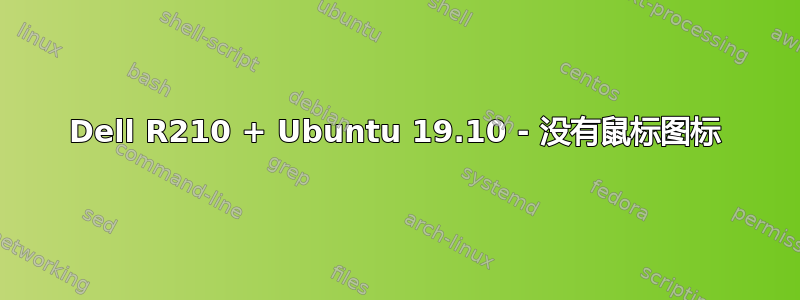 Dell R210 + Ubuntu 19.10 - 没有鼠标图标