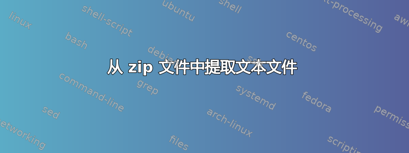 从 zip 文件中提取文本文件