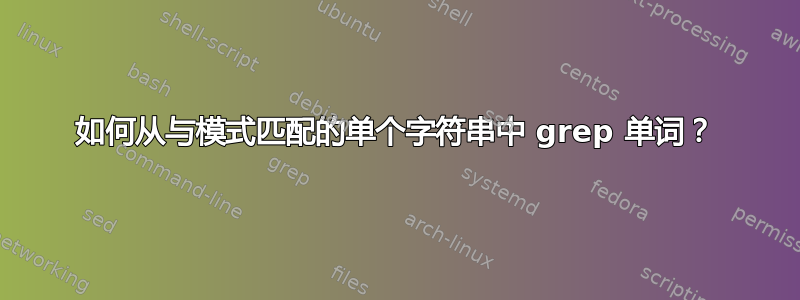 如何从与模式匹配的单个字符串中 grep 单词？