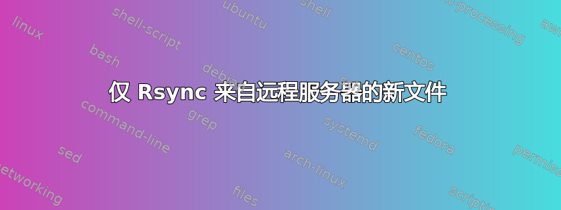 仅 Rsync 来自远程服务器的新文件