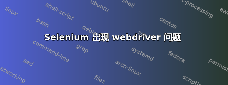 Selenium 出现 webdriver 问题