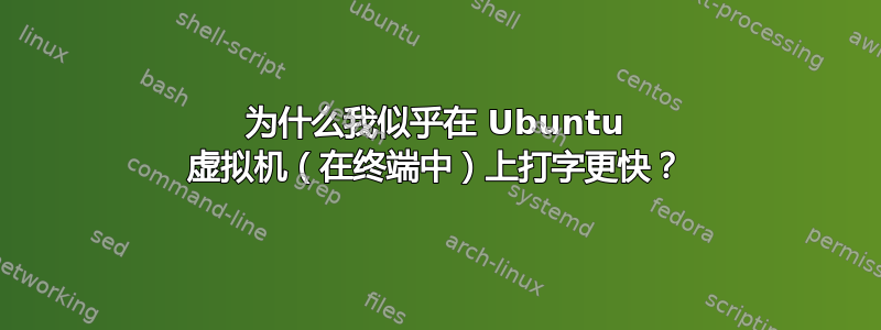 为什么我似乎在 Ubuntu 虚拟机（在终端中）上打字更快？