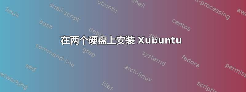 在两个硬盘上安装 Xubuntu