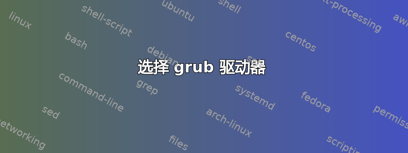 选择 grub 驱动器