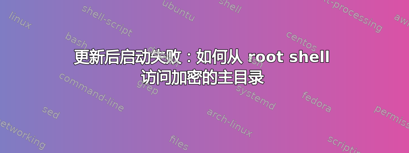 更新后启动失败：如何从 root shell 访问加密的主目录