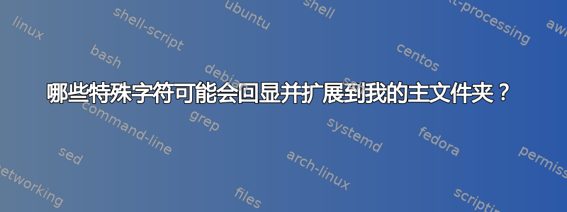 哪些特殊字符可能会回显并扩展到我的主文件夹？