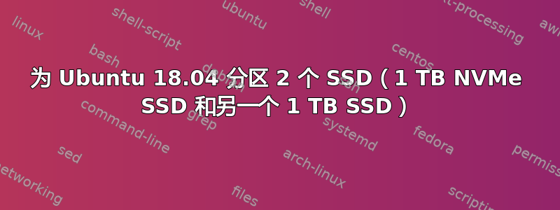 为 Ubuntu 18.04 分区 2 个 SSD（1 TB NVMe SSD 和另一个 1 TB SSD）