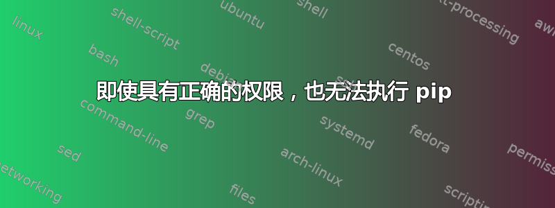 即使具有正确的权限，也无法执行 pip