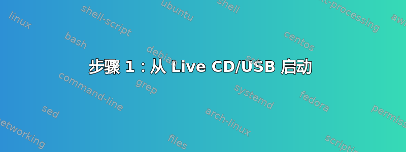 步骤 1：从 Live CD/USB 启动