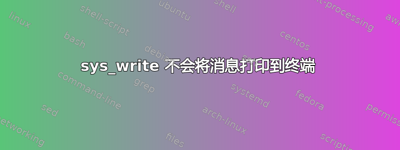 sys_write 不会将消息打印到终端