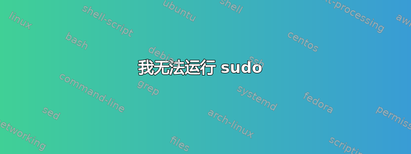 我无法运行 sudo 