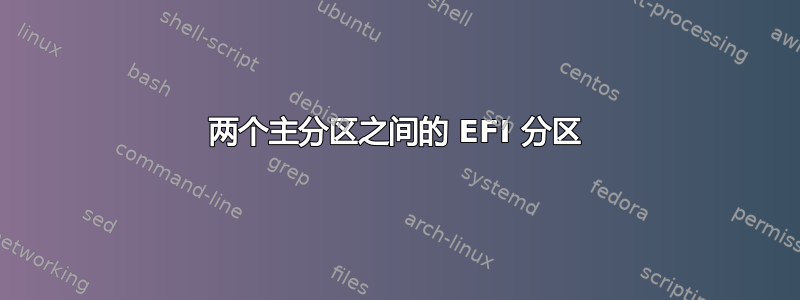 两个主分区之间的 EFI 分区