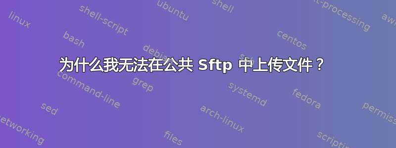 为什么我无法在公共 Sftp 中上传文件？ 