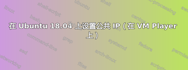 在 Ubuntu 18.04 上设置公共 IP（在 VM Player 上）