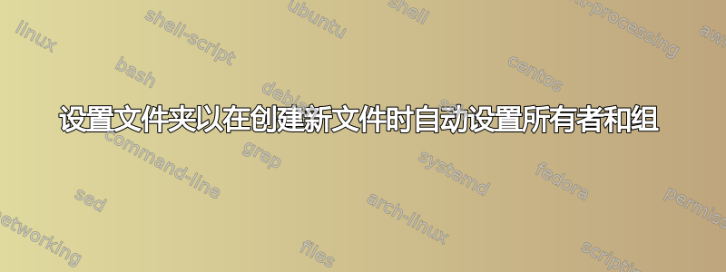 设置文件夹以在创建新文件时自动设置所有者和组