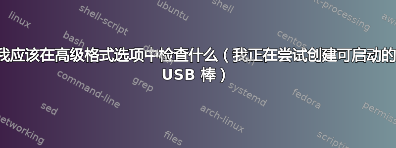 我应该在高级格式选项中检查什么（我正在尝试创建可启动的 USB 棒）