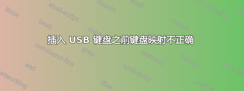 插入 USB 键盘之前键盘映射不正确