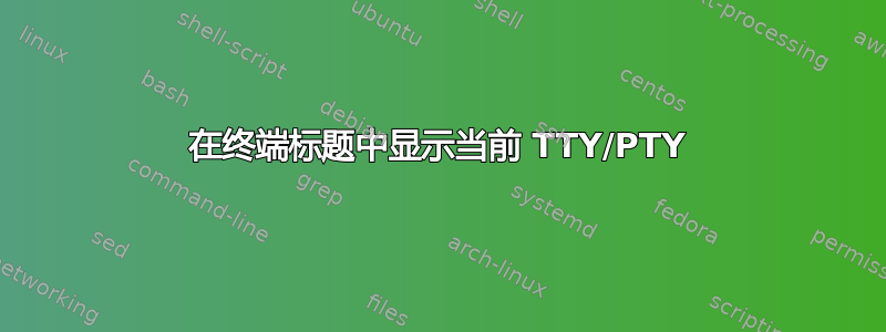 在终端标题中显示当前 TTY/PTY