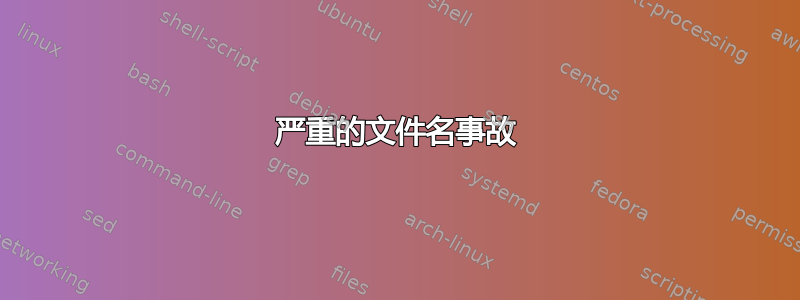 严重的文件名事故