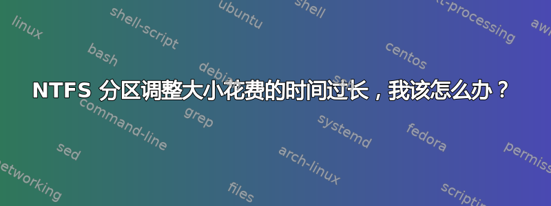 NTFS 分区调整大小花费的时间过长，我该怎么办？