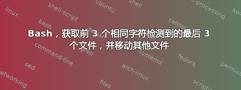 Bash，获取前 3 个相同字符检测到的最后 3 个文件，并移动其他文件