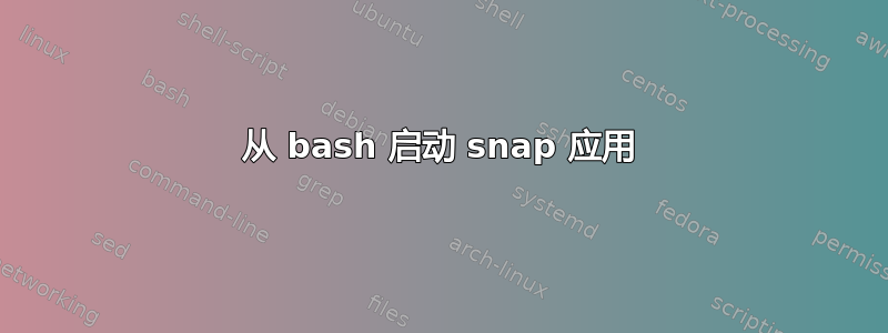 从 bash 启动 snap 应用