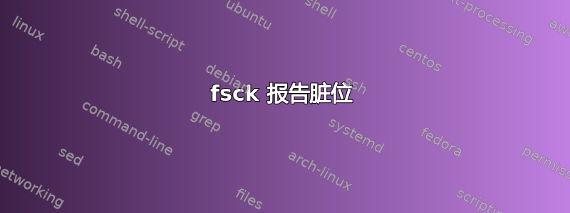 fsck 报告脏位