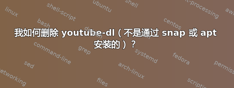 我如何删除 youtube-dl（不是通过 snap 或 apt 安装的）？