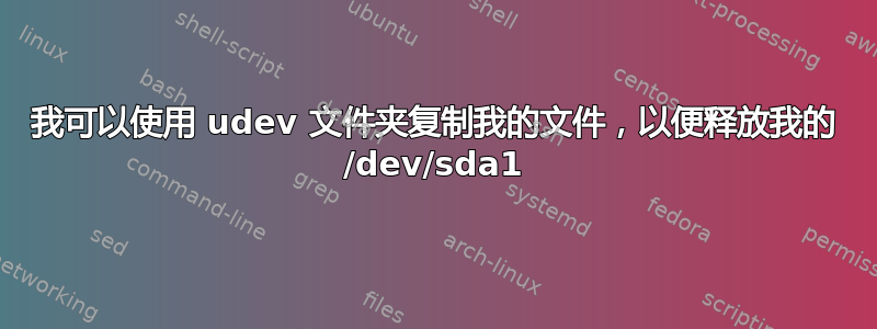 我可以使用 udev 文件夹复制我的文件，以便释放我的 /dev/sda1