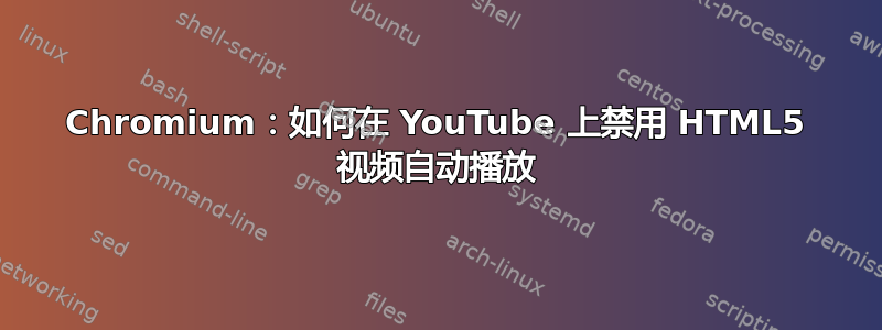 Chromium：如何在 YouTube 上禁用 HTML5 视频自动播放