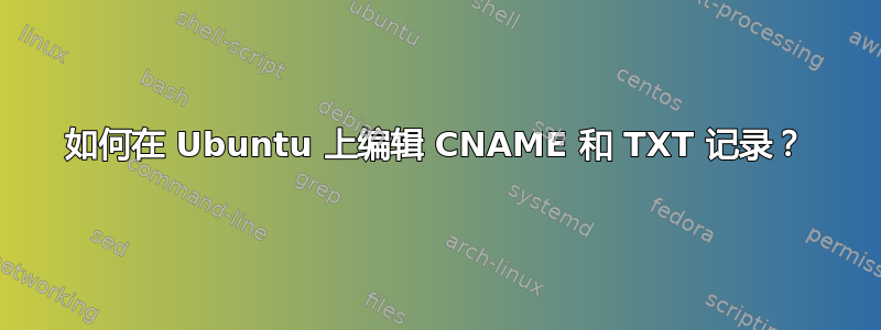 如何在 Ubuntu 上编辑 CNAME 和 TXT 记录？