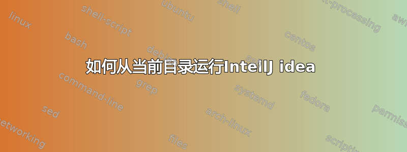 如何从当前目录运行IntellJ idea