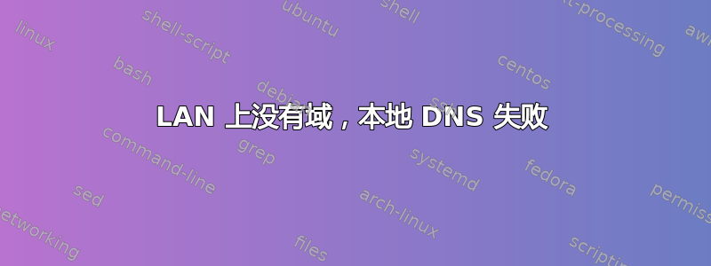 LAN 上没有域，本地 DNS 失败