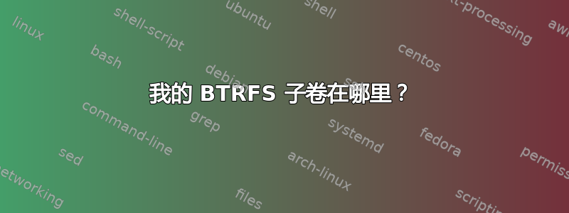 我的 BTRFS 子卷在哪里？