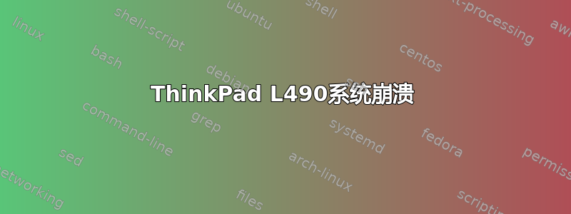 ThinkPad L490系统崩溃