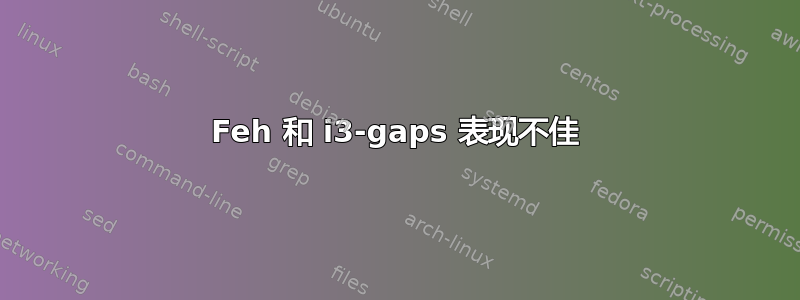 Feh 和 i3-gaps 表现不佳