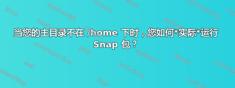 当您的主目录不在 /home 下时，您如何*实际*运行 Snap 包？