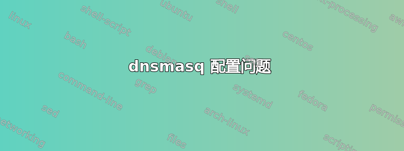 dnsmasq 配置问题