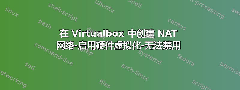 在 Virtualbox 中创建 NAT 网络-启用硬件虚拟化-无法禁用