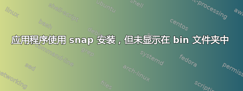 应用程序使用 snap 安装，但未显示在 bin 文件夹中