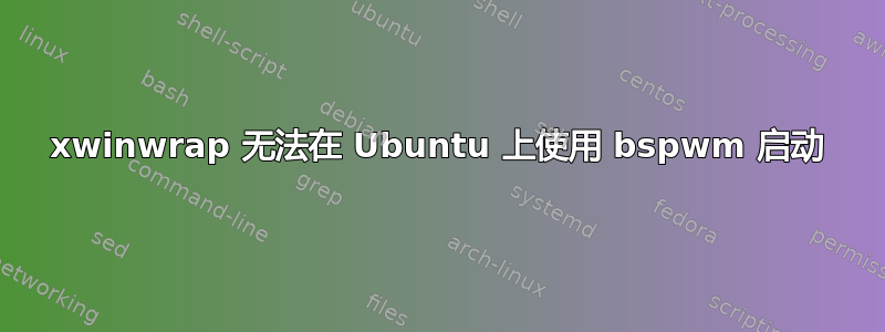 xwinwrap 无法在 Ubuntu 上使用 bspwm 启动