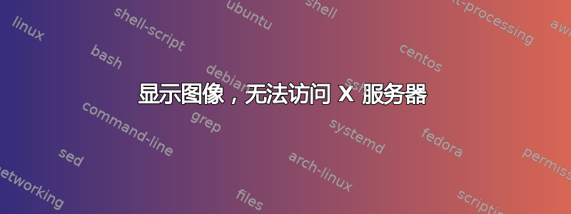 显示图像，无法访问 X 服务器