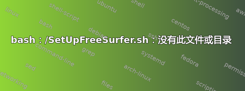 bash：/SetUpFreeSurfer.sh：没有此文件或目录