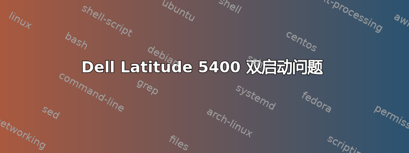 Dell Latitude 5400 双启动问题