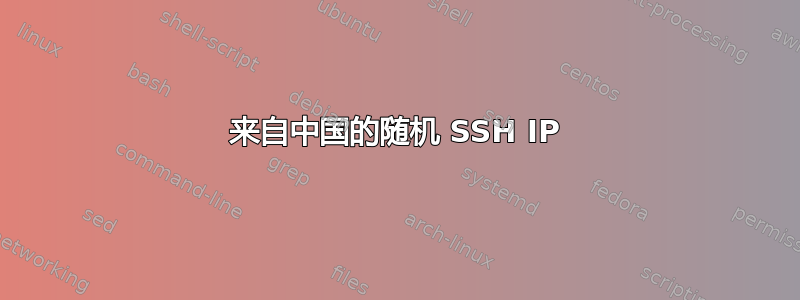 来自中国的随机 SSH IP